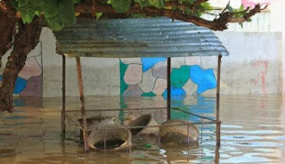 بالصور...السودان يعلن حالة الطوارئ لمدة 3 أشهر بسبب الفيضانات والسيول التي اجتاحت البلاد + فيديوهات✍️👇👇✍️ 
