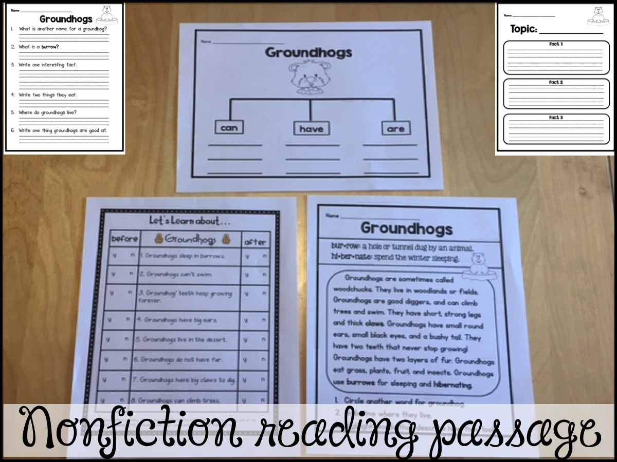 Sarah's First Grade Snippets: Groundhog Day Fun