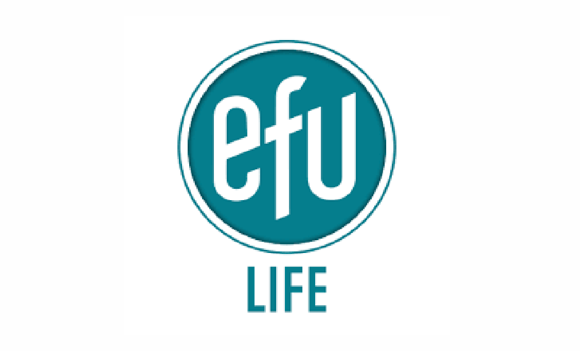 Efu Life Assurance Jobs Assistant Team Lead