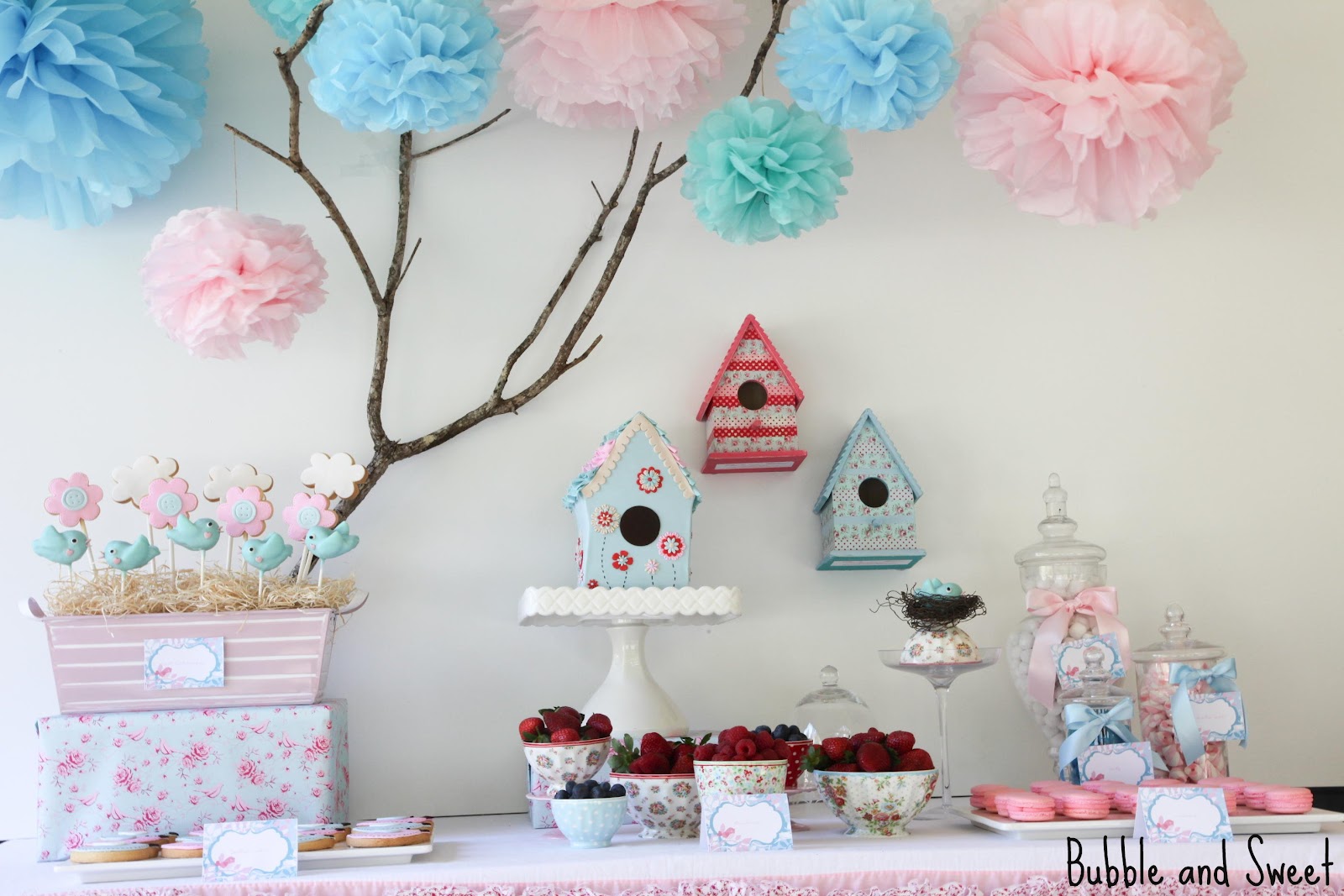 bubble-and-sweet-sophie-s-6th-birthday-sweet-birdie-birthday-party