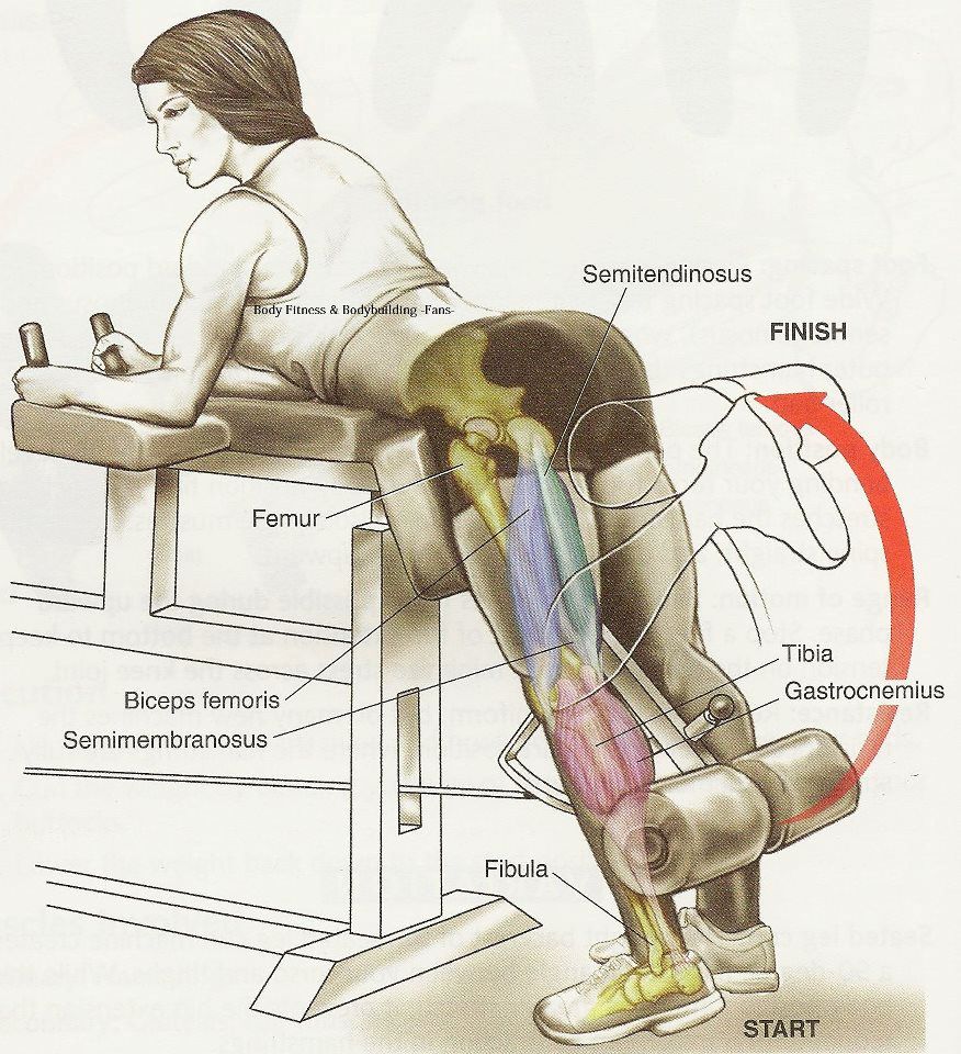 Hamstring Workouts ^^ THE GYM MOTIVATION