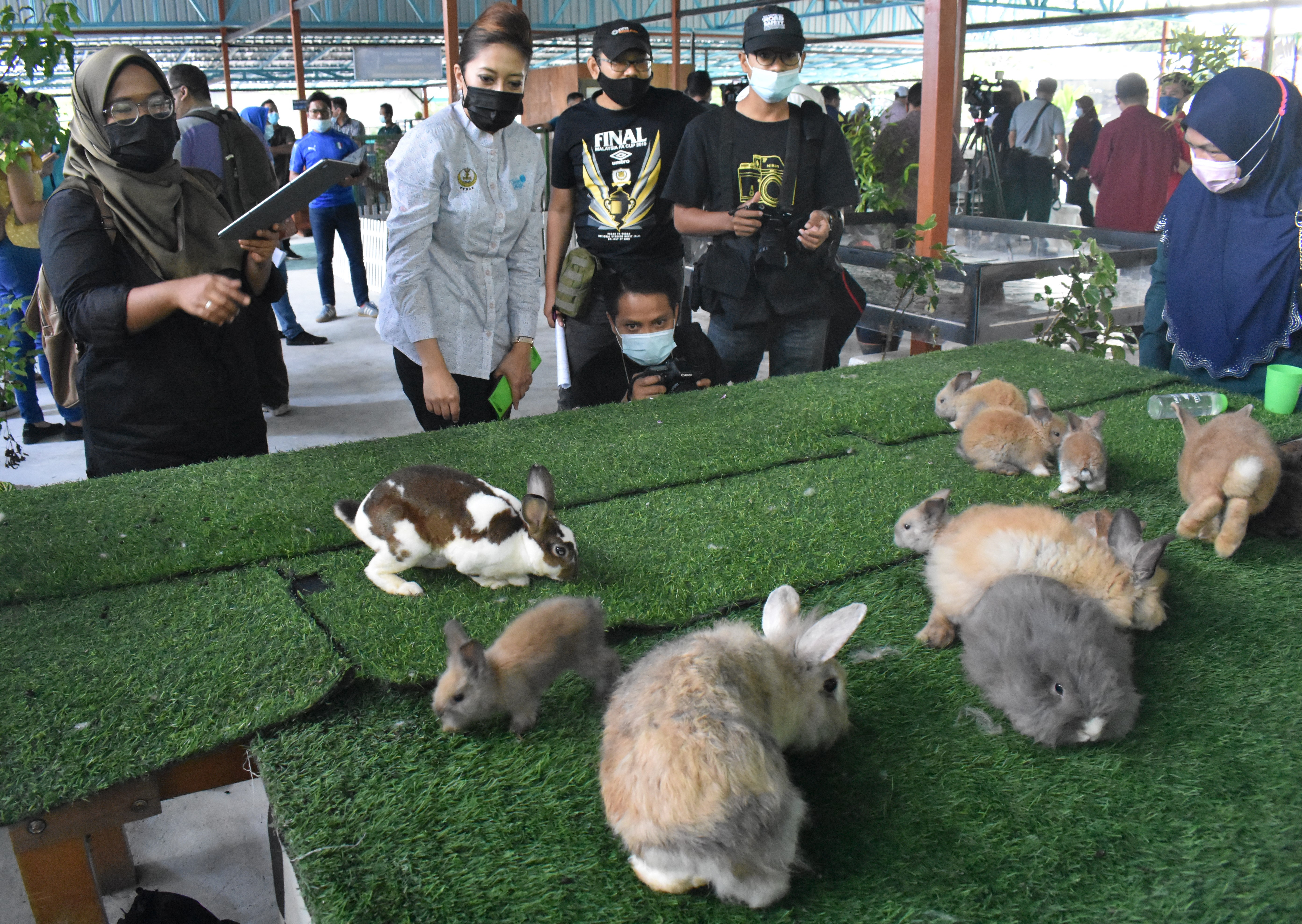 Travel, Community, Charity: PETTING ZOO @ GUNUNG LANG OPENS