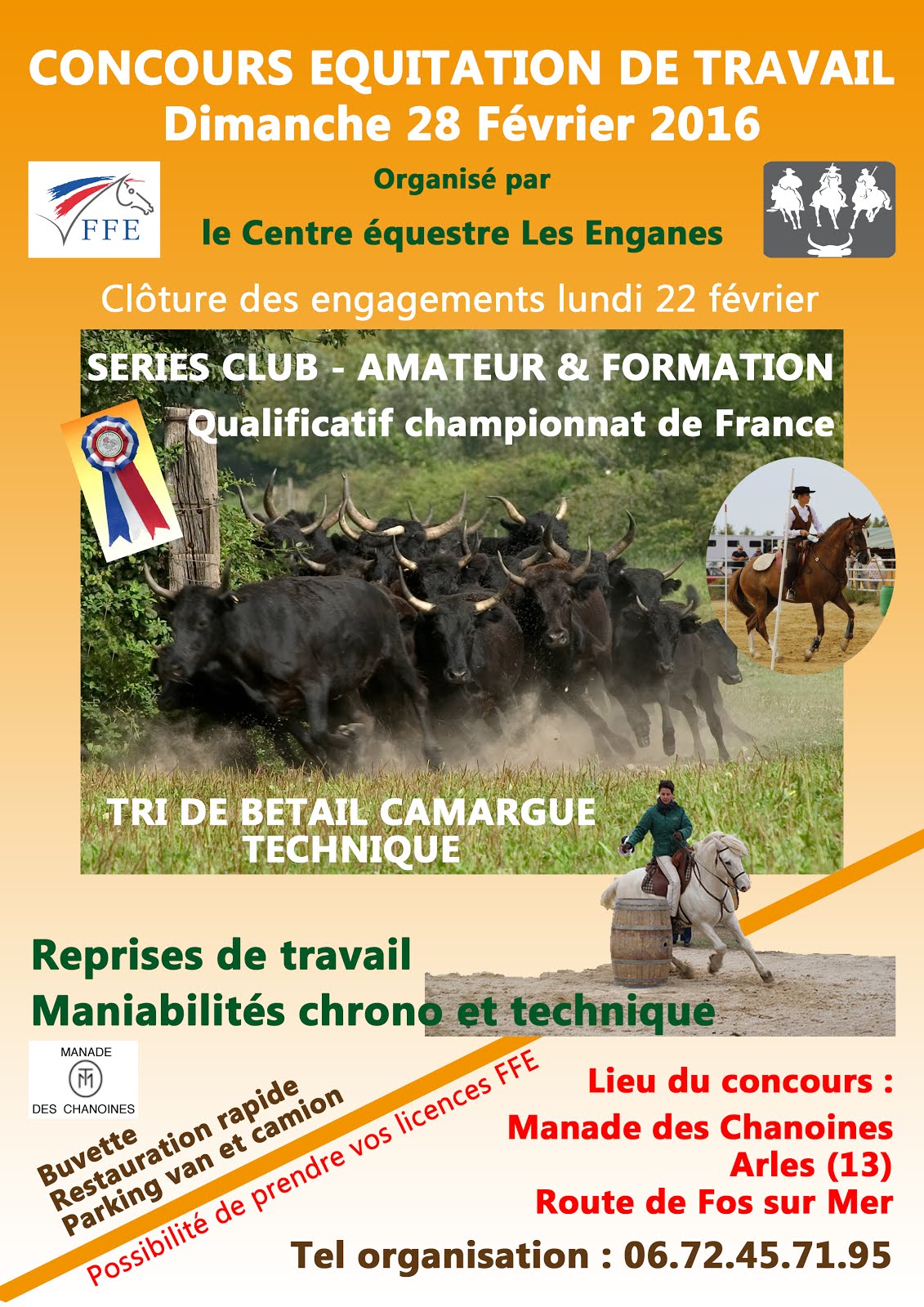 Concours équitation de travail 28 février 2016