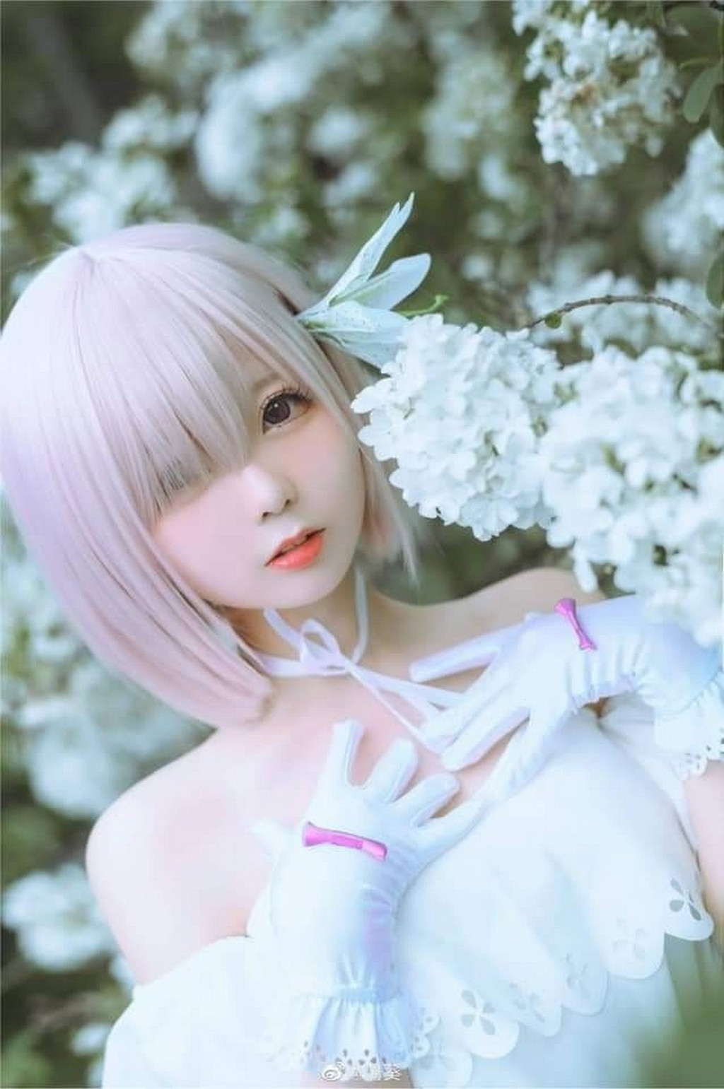 Beauty Gallery - Collection of Asian beauties - TruePic.net