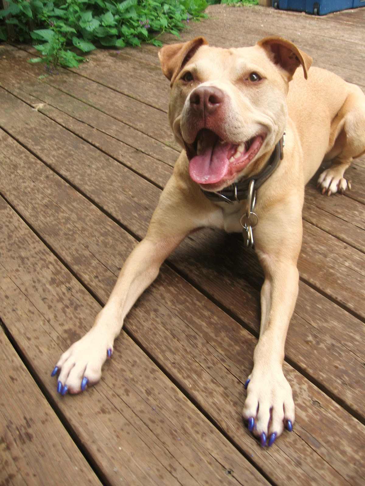 Rollin' With Rubi Nailed! Part Two