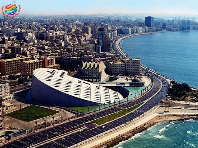 The New Library of Alexandria