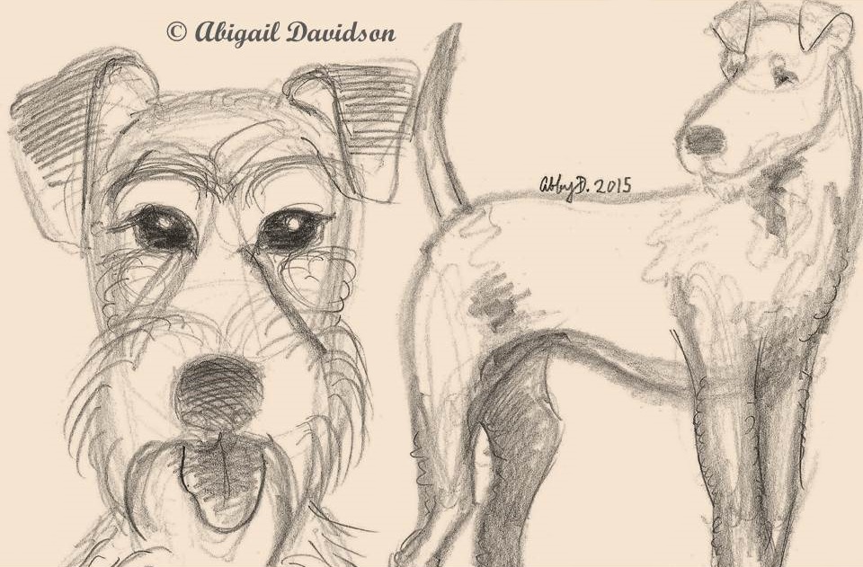 Abigail Davidson Art New Dog Art Irish Terrier