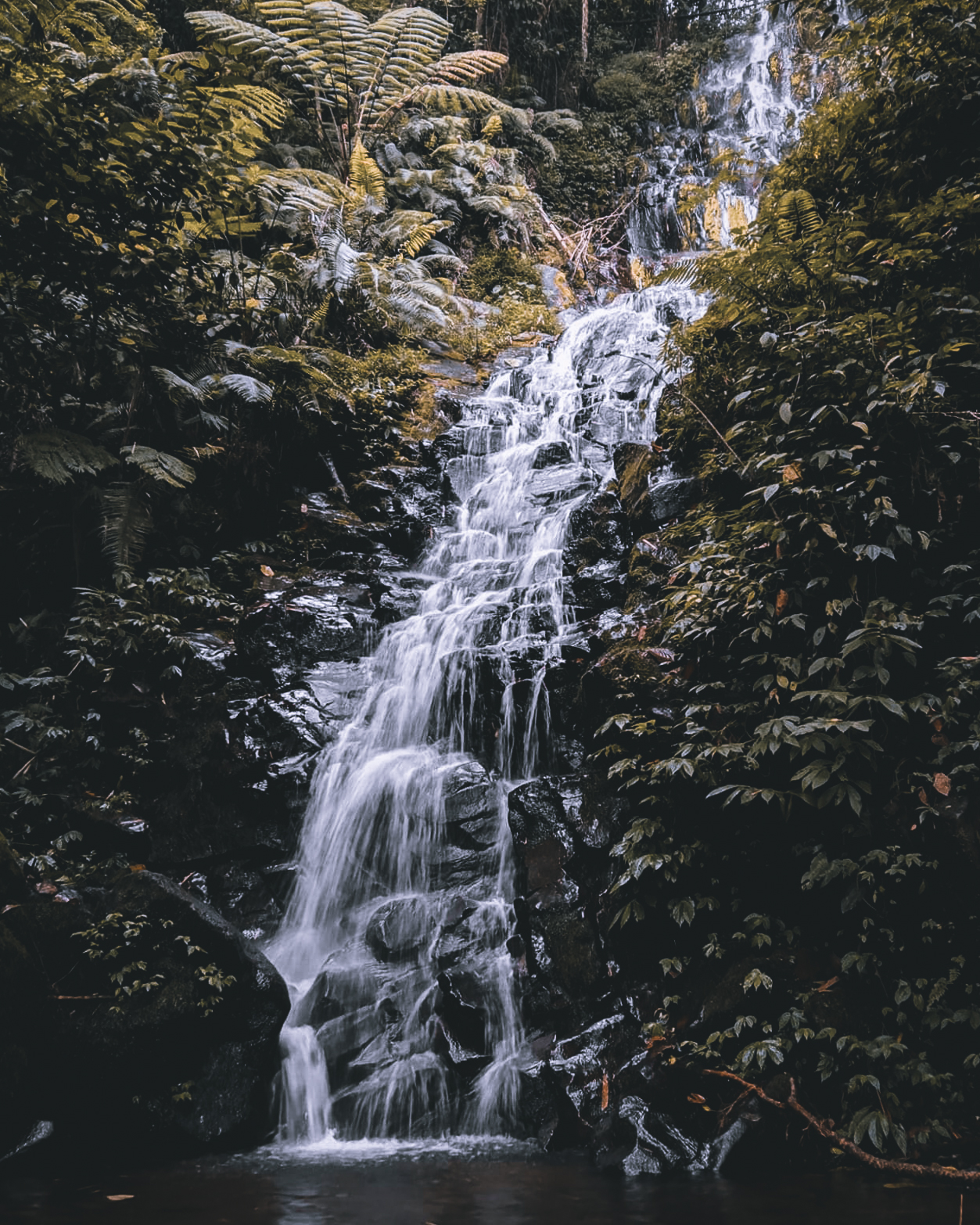 Free Wallpaper Tema Alam Terkeren