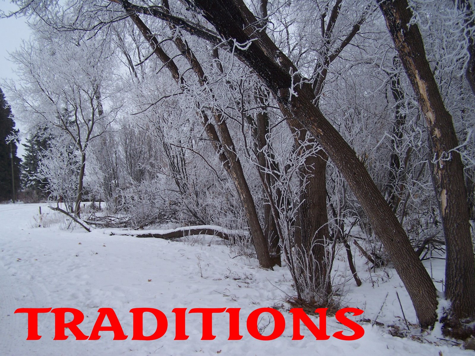 Christmas christmassy songs un where Lyric Devotions