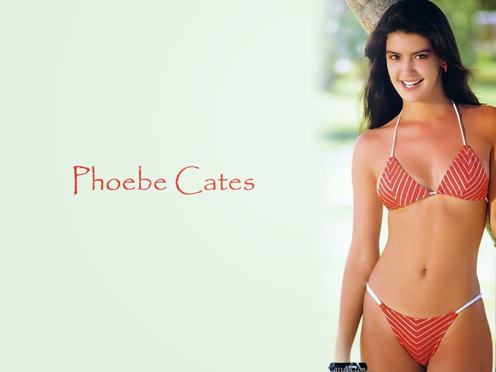 Phoebe Cates Quotes.