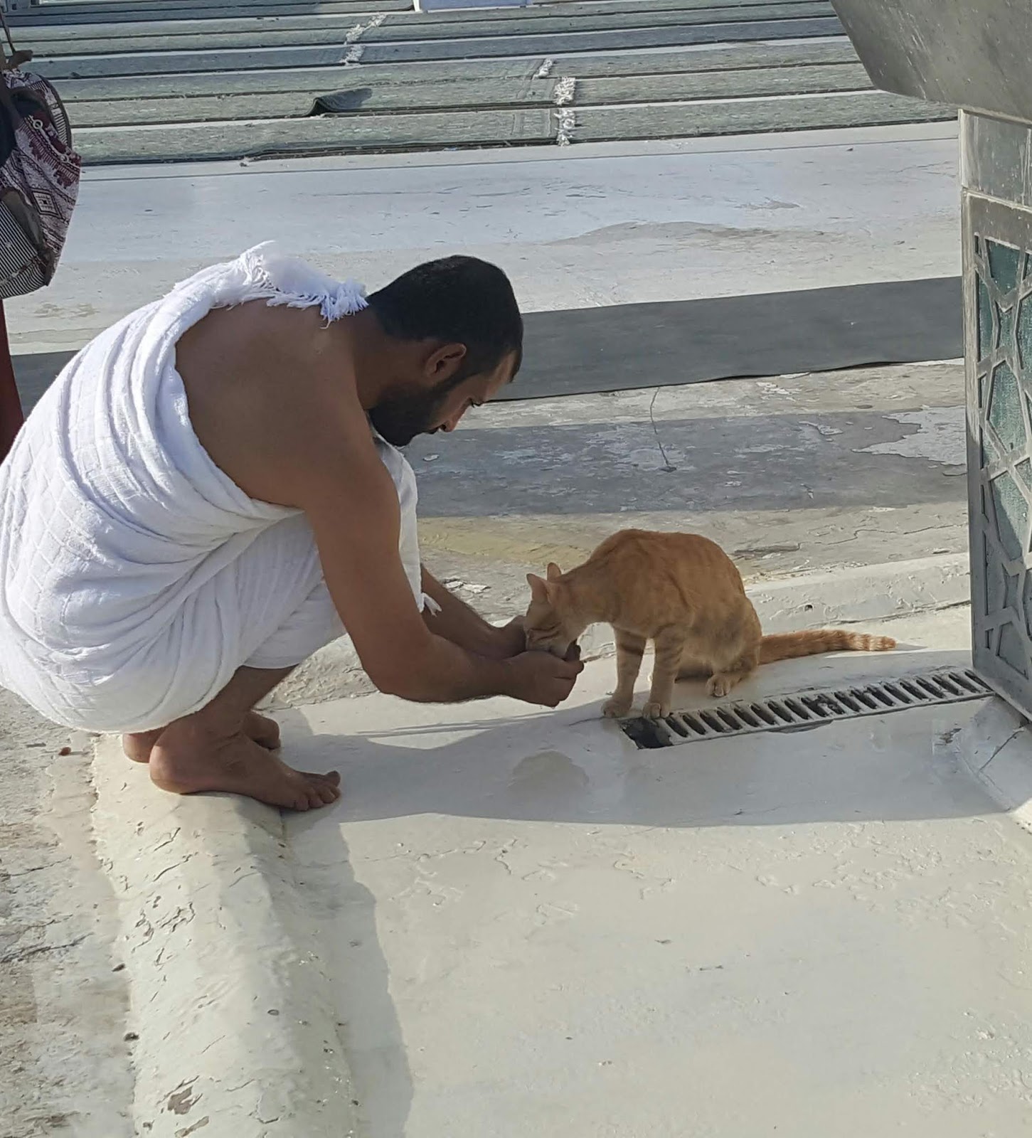 Importance of Cats in Islam