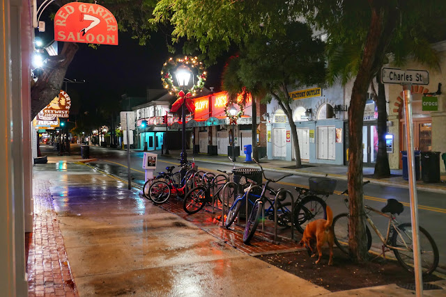 Red Garter, Duval Street Key West By Night