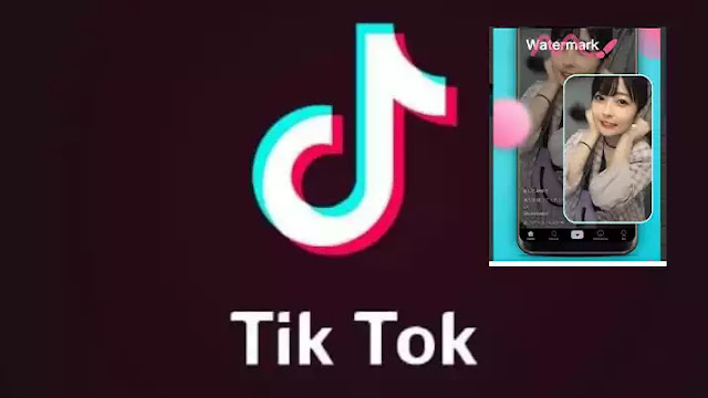 طريقة تحميل فيديوهات التيك توك (TikTok) بدون علامة مائية