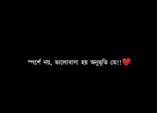 22 Best Bengali Status For Facebook and Whats app | মন ছুঁয়ে যাওয়া বাংলা স্ট্যাটাস