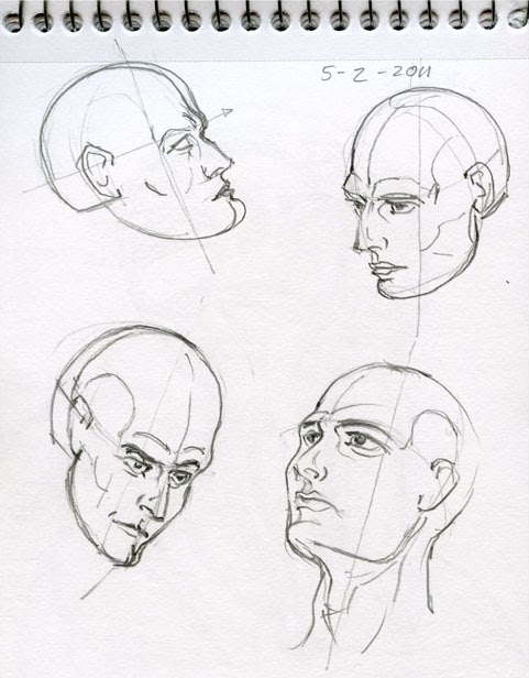 Dynamic Anatomy: Movement of the Head