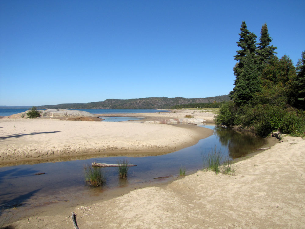 North Shore Nature Shorebirds at Neys Provincial Park