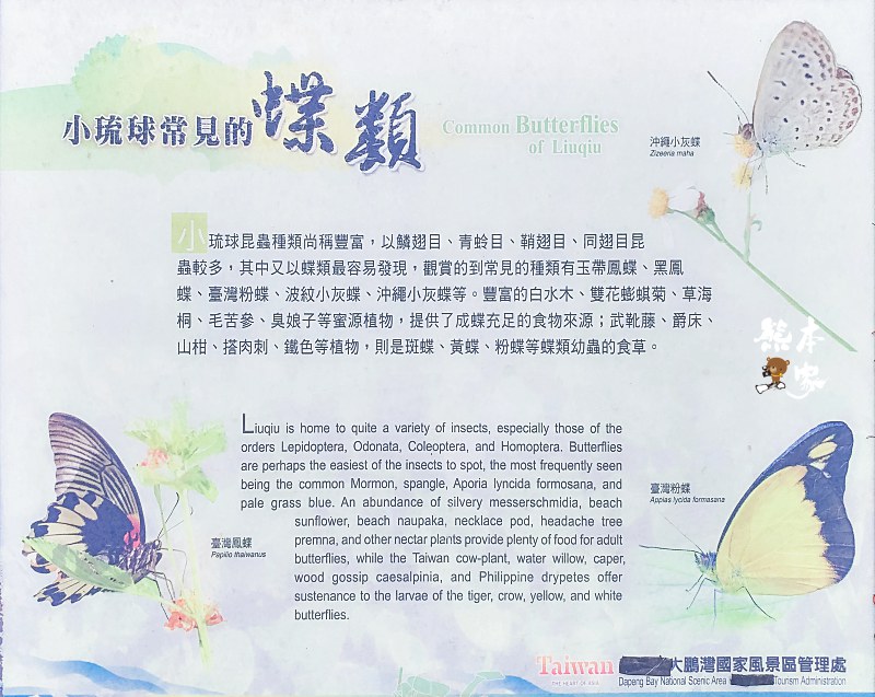 小琉球美人洞第2遊覽區|海上樂園、麗池、怡然園、一線天、迷人陣