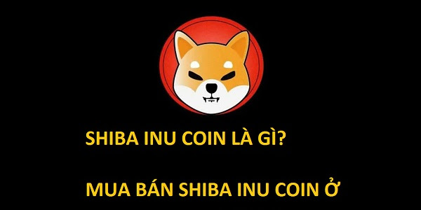 Coin Shiba Inu là gì? Mua coin ở sàn nào 2021