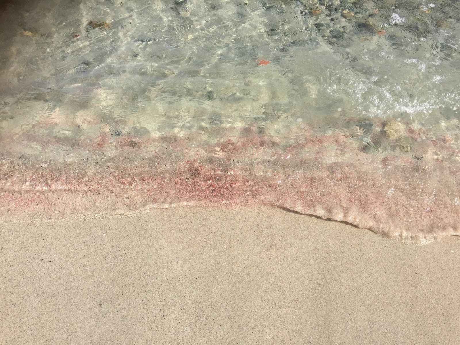اجمل الشواطئ في سردينيا Sardegna escursione a Cala Zafferano