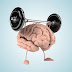 Brain Fitness untuk Melatih Otak Anak