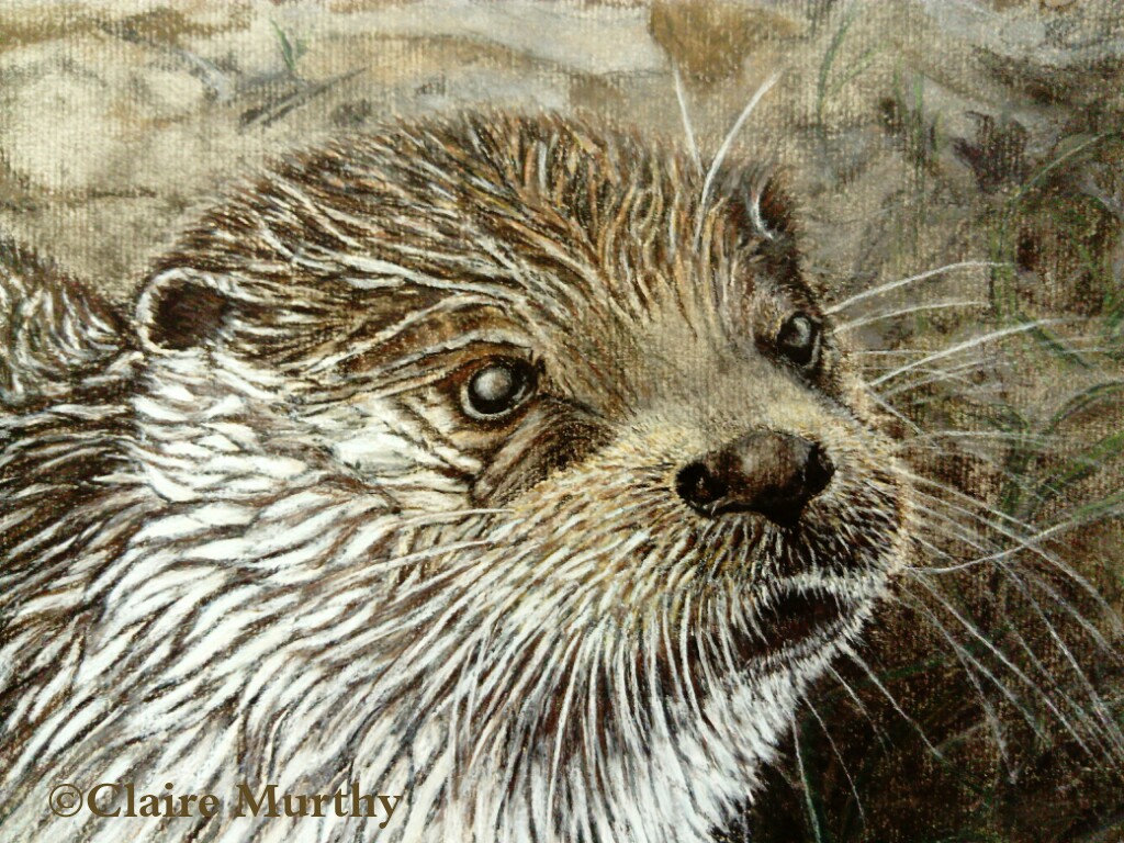 British Wildlife Art