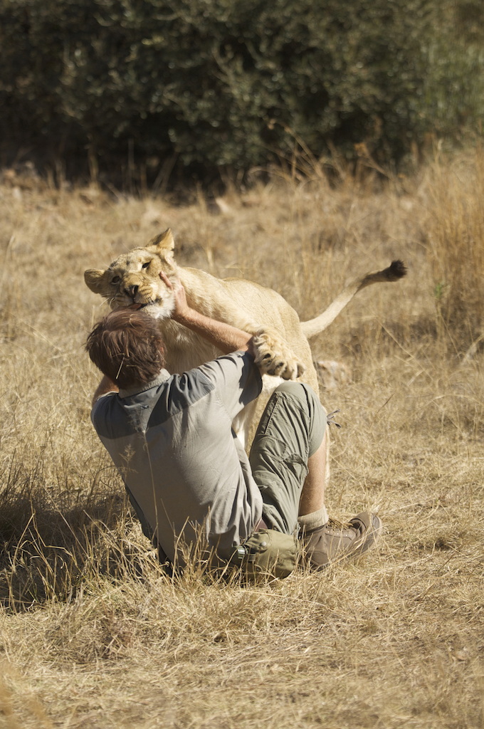 Animal presenta historias de personas que sobrevivieron solas y