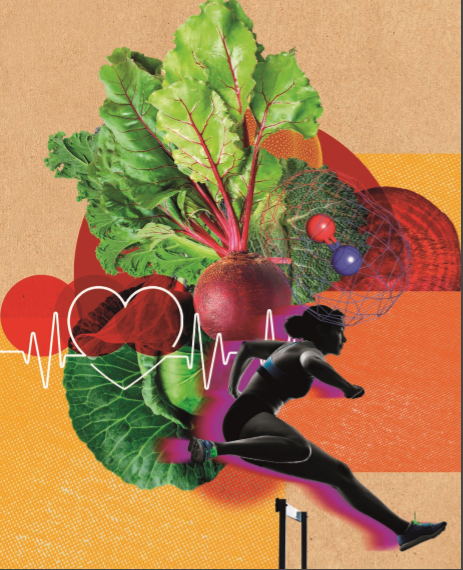 nutrients,nutrient,marijuana nutrients,hydroponic nutrients,weed nutrients,plant nutrients,nutrition,nutrients in hindi,organic nutrients,advanced nutrients,cannabis nutrients,6 essential nutrients,nutrients and their functions,7 nutrients,main nutrients,coco nutrients,remo nutrients,micro nutrients,macro nutrients,nutrient names,nutrients in food,mixing nutrients,nutrient dense,veg nutrients weed,foxfarm nutrients,what are nutrients