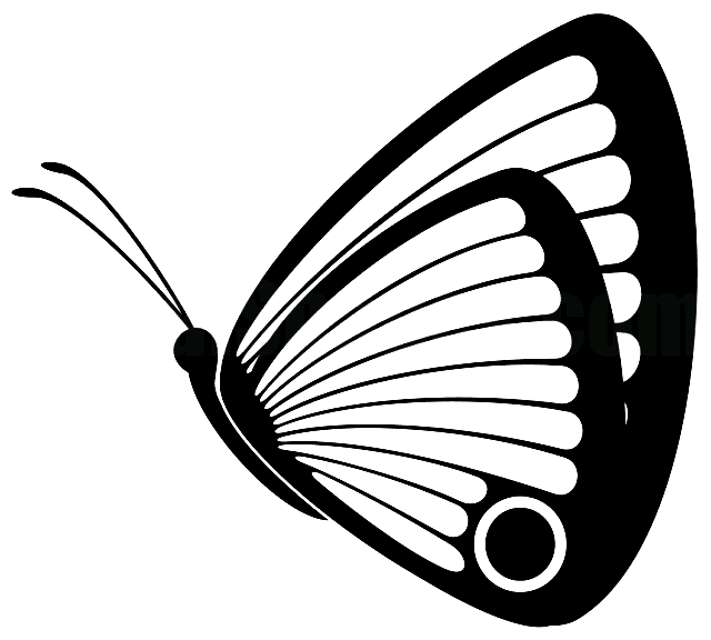 Best butterfly coloring pages | Minister Coloring