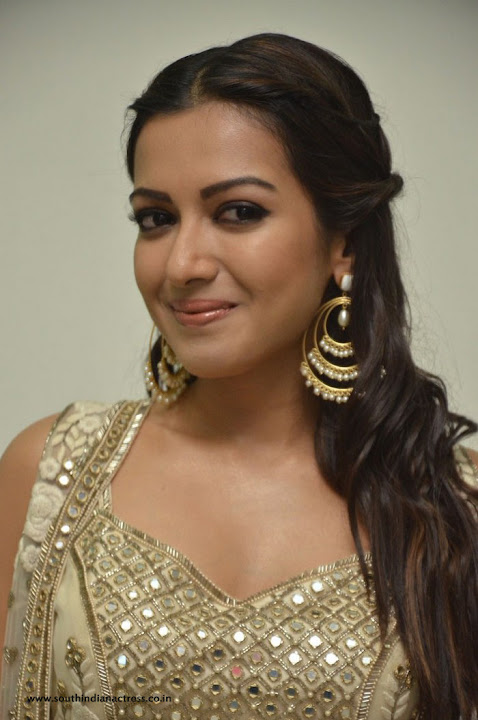 Catherine Tresa at Gautham Nanda success meet