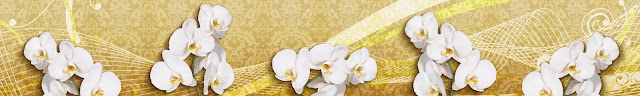Фартук Белые орхидеи 