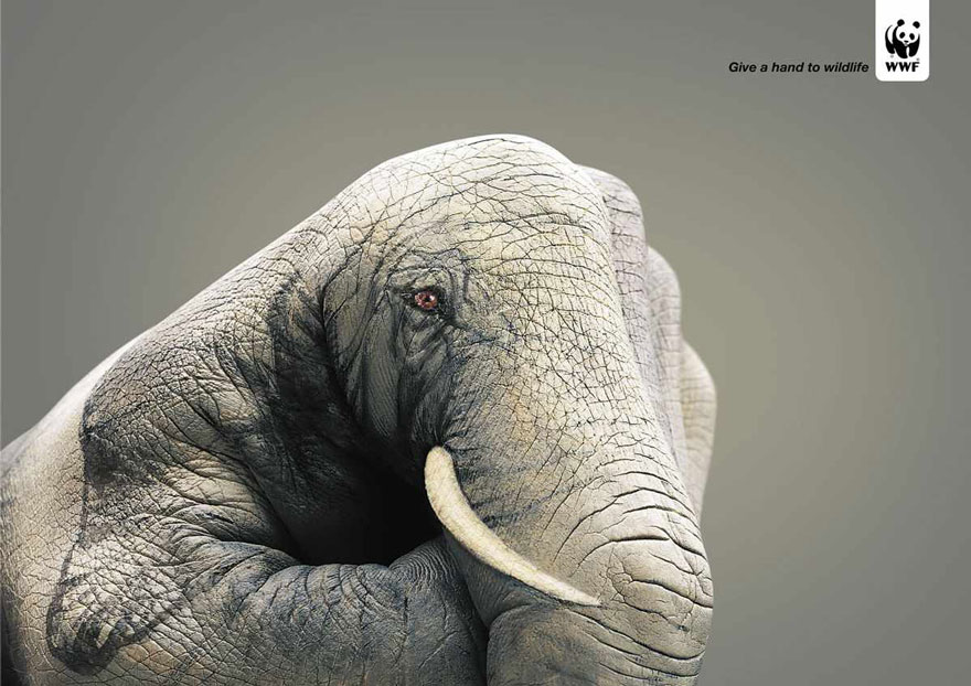 WWF: Give A Hand To Wildlife