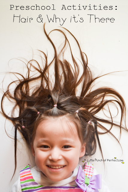 preschool activities:  hair and why it's there