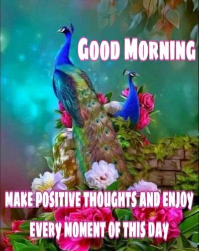 Top 50 Good Morning Quotes to Start the fresh Day Top 50 Good Morning Quotes to Start the fresh Day
