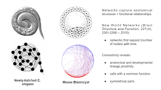 Darwin Image