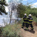 Bombeiros combatem incêndio em vegetação no bairro Santo Antônio, em Juazeiro