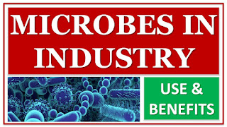 microbes%2Bin%2Bindustry