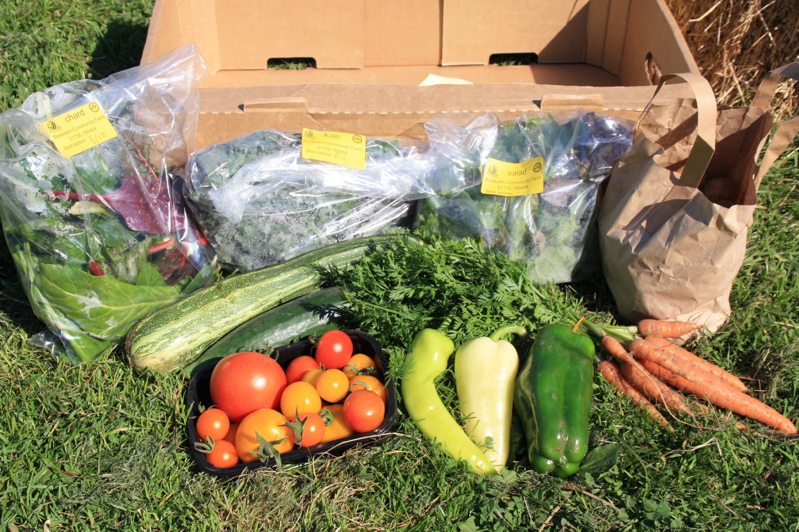 Bosavern Community Farm Veg boxes 2nd October 2015