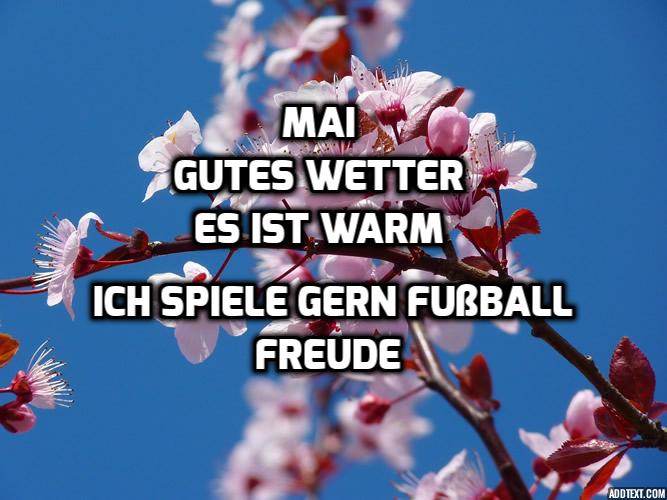 Deutschindermusikschule