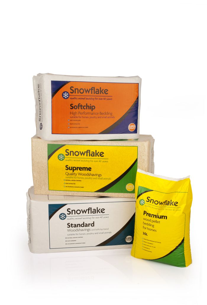 Trailblazers Championships Snowflake Performance in Equestrian Bedding.