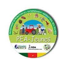 Recrutement des personnels du secrétariat permanent du REP-Jeunes