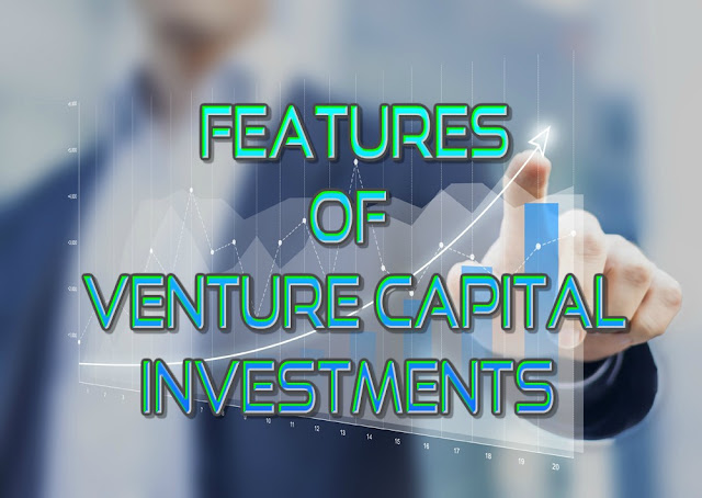 Features of Venture Capital investments