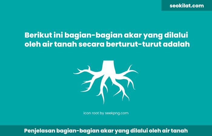 Berikut ini bagian-bagian akar yang dilalui oleh air tanah secara berturut-turut adalah