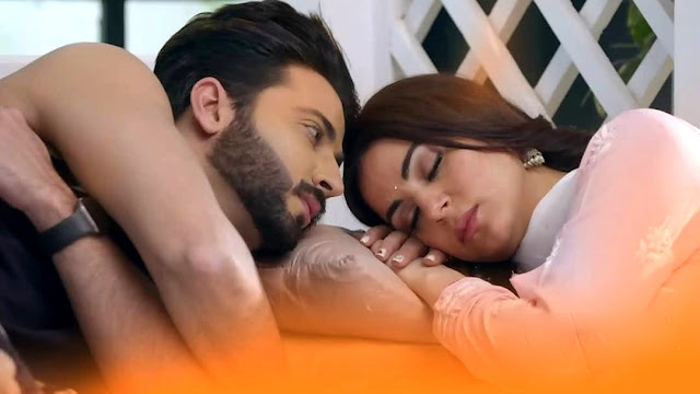 Kundali Bhagya 28th January 2021 Written Update