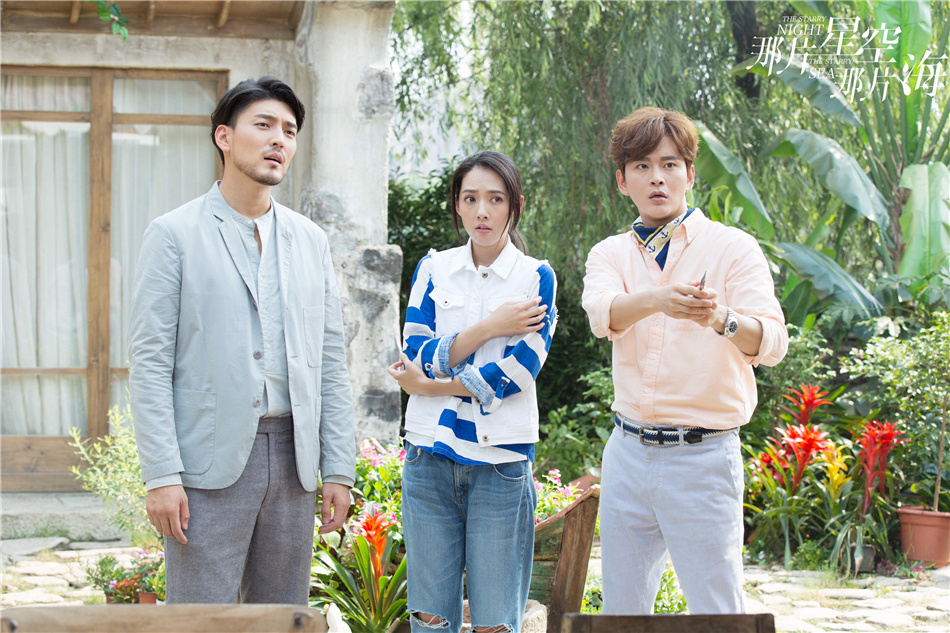 The Starry Night The Starry Sea (2017) | DramaPanda