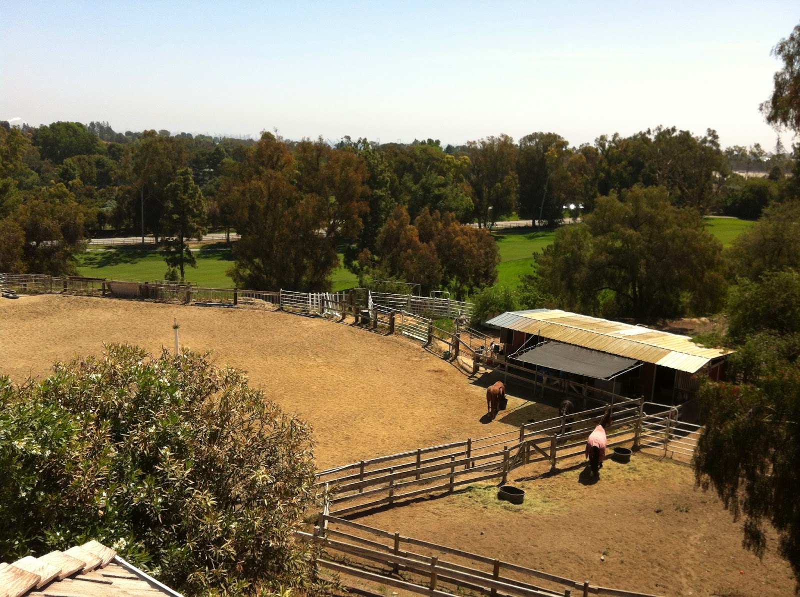 Palos Verdes Horse Property 3104938333 Palos Verdes Drive North Home