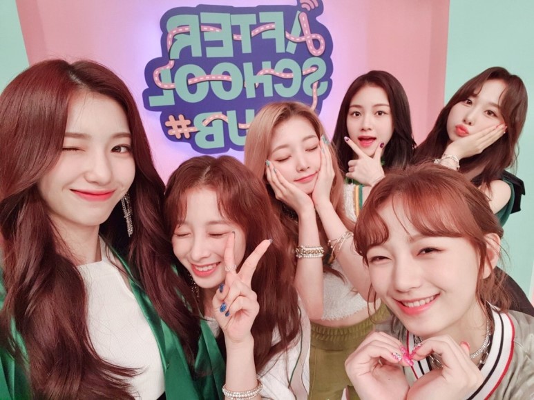 내새끼한테 쏟아붙는 악플들 위트있게 처리하는 팬들 | 인스티즈