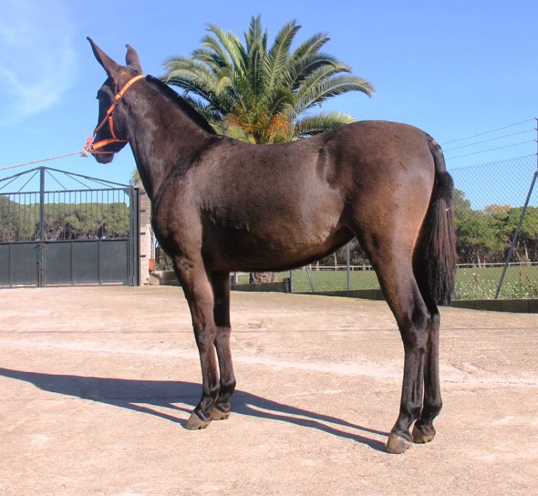 www xxx nuori video com