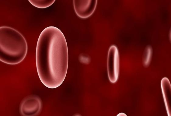 Perbedaan Antara Arteri Dan Vena Perbedaan Antara Arteri Dan Vena