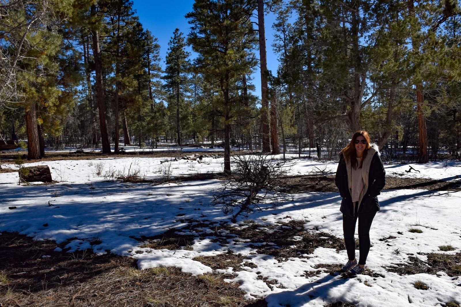road trip through arizona 