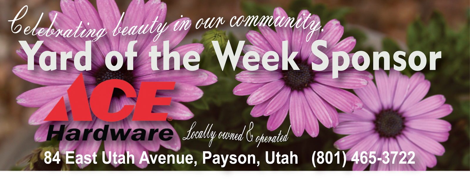 The Payson Chronicle Yard of the Week A Nice Mix of Old and New